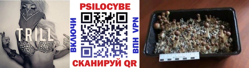 Псилоцибиновые грибы Cubensis Электроугли